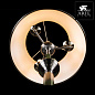 A3579PN-3AB Arte Lamp Alice торшер 40W — фото 6