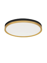 Black & Brass Gold Metal & Acrylic LED 38 Watt 220-240 Volt 2198Lm 3000K IP20 D: 50 H: 5 cm