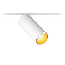 Магнитные светильники Led technology SPIKE 12.30 B белый + золото