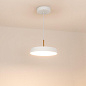 033914(1) Arlight Светильник SP-ELEGANT-R300-17W Warm3000 (WH, 120 deg, 230V) — фото 2