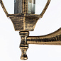 A3151AL-1BN Arte Lamp Pegasus уличный настенный светильник E27 1х60W — фото 3