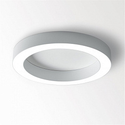 308 21 03 83 ED8 W Delta Light SUPER-OH потолочный светильник IP40
