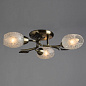 Потолочная люстра Arte Lamp ANETTA A6157PL-3AB — фото 1
