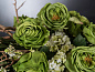 ETERNITY ROUND ROSE Искусственное растение VGnewtrend — фото 1