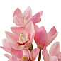 Искусственное растение Cymbidium Orchids Eichholtz 119282 — фото 4