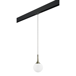 pro81301 Lightstar Globo Трековый светильник PRO 220V
