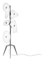 Orbital