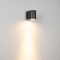 Уличный настенный светильник Arlight LGD-RAY-WALL-R65-9W — фото 4