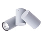 Спот Arte Lamp GAVROCHE A1511PL-2GY — фото 2