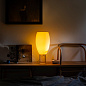 FN278011_12 Foscarini Buds 1 TL настольный светильник белый — фото 7
