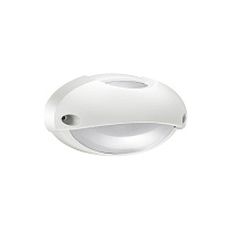 Уличный потолочный светильник Lombardo Airy Plus Top Ovale 300, 60 Вт, белый
