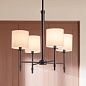 Ali 20" 4 Light Chandelier Black люстра 52504BK Kichler — фото 5