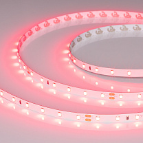 RT-A60-8mm 24V Ruby (4.8 W/m, IP20, 5m)