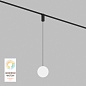 Трековый светильник Denkirs Smart Moon DK8052-BK — фото 4