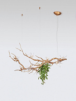 & Nest большой