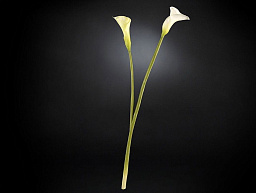 CALLA LILY Полиэстер Искусственное растение VGnewtrend