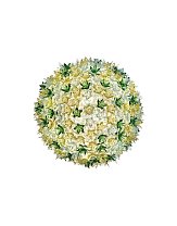 Bloom C1, мятный