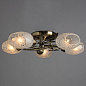 Потолочная люстра Arte Lamp ANETTA A6157PL-5AB — фото 1