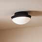 Bretta 13.5" 2 Light Flush Mount Black  потолочный светильник 52544BK Kichler — фото 5