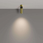 FOCUS LED Maytoni потолочный светильник C055CL-L12W4K-W-BS латунь