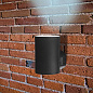 A6109AL-1BK Arte Lamp Alcyone фасадный светильник LED 1х9W 950Lm 3000,4500,6500K — фото 1