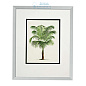 108852 Print Palms S/4 Eichholtz