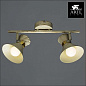 A1406AP-2WG Спот Baltimore Arte Lamp