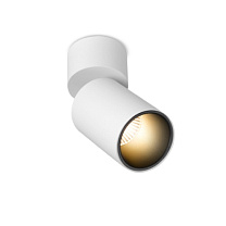 Потолочные светодиодные светильники Led technology SPY N 10.30 W белый + черный