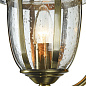Бра Zeil Maytoni бронза-прозрачный H356-WL-01-BZ