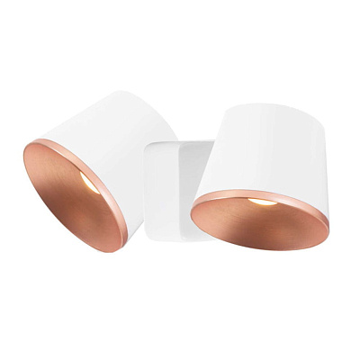 двухплафонный настенный светильник белого цвета