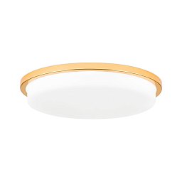 DL 7-670/40 gold/opal-matt Orion Lerox Потолочный светильник