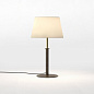 1483001 Club Table Astro lighting настольная лампа бронза / натуральная латунь — фото 1