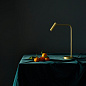 1058005 Enna Desk LED Astro lighting настольная рабочая лампа матовый белый — фото 2