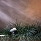 1401009 Bayville Spike Spot 12V Astro lighting спот текстурированный чёрный — фото 1