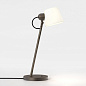 1460001 Imari Desk Astro lighting настольная рабочая лампа бронза — фото 2