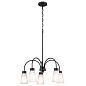 Erma 24" 5 Light Chandelier Black люстра 52443BK Kichler — фото 7