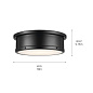 Serca 18" 3 Light Flush Mount Black потолочный светильник 52541BK Kichler — фото 8