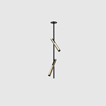 esprit double ceiling, black with brushed gold lamphead