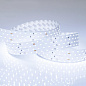 019084 Arlight Лента RT 2-2500 24V Cool 8K 4x2 (2835, 700 LED, LUX) — фото 1