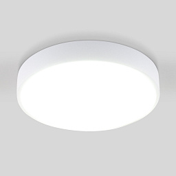 a043015 Elektrostandard Fitta потолочный акцентный светильник с круглым матовым плафоном и компактным корпусом