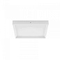 CA028SWHMDI Linea Light Tara Emergency LED светодиодный настенно-потолочный светильник белый — фото 1