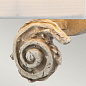 Настенный светильник Swirl Flambeau FB-SWIRL-1S-W костяно-белый — фото 2
