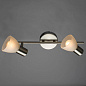 Спот Arte Lamp PARRY A5062AP-2SS — фото 1