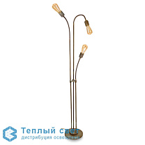 PIANTANA 3L OTT. BRU-ANT