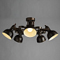 Потолочная люстра Arte Lamp MARTIN A5216PL-5BR — фото 1