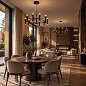 Подвесная люстра Favourite Blick 4758-10P — фото 4