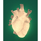 SE09925 Seletti Heart Lamp Настенный светильник — фото 6