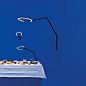 Artemide Vine Light Wall L AP большой современный настенный светильник — фото 3