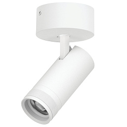 Накладной светильник Canno Pro C4206SO Lightstar