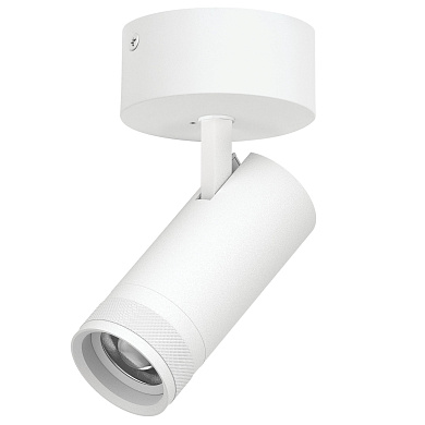 Накладной светильник Canno Pro C4206SO Lightstar